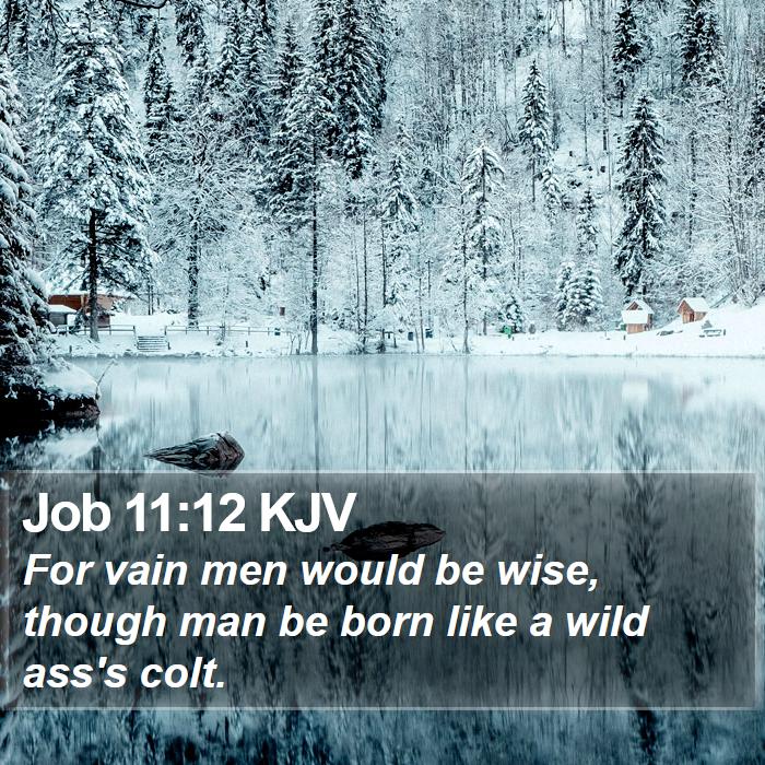 Job 11:12 KJV Bible Study