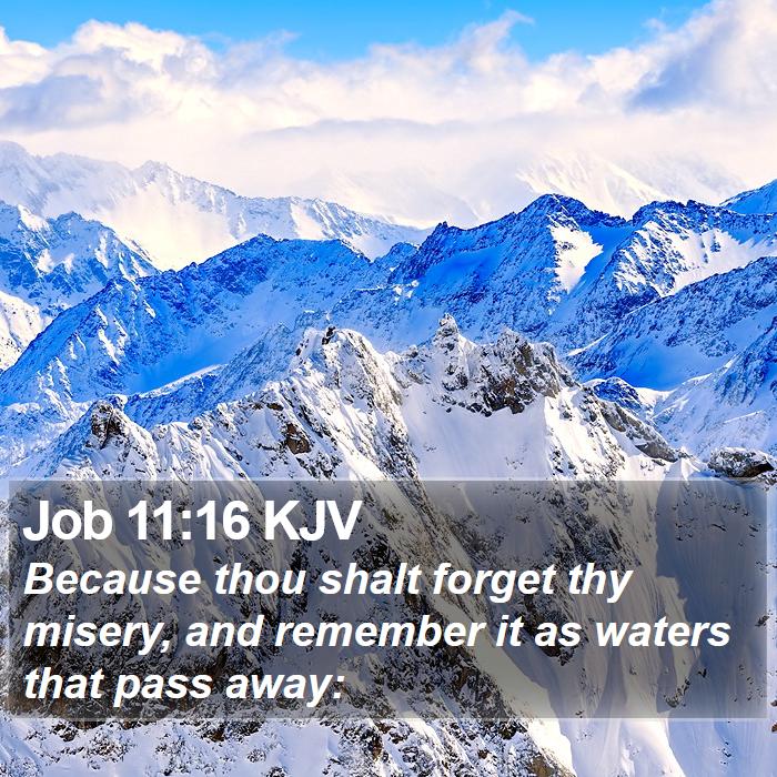 Job 11:16 KJV Bible Study