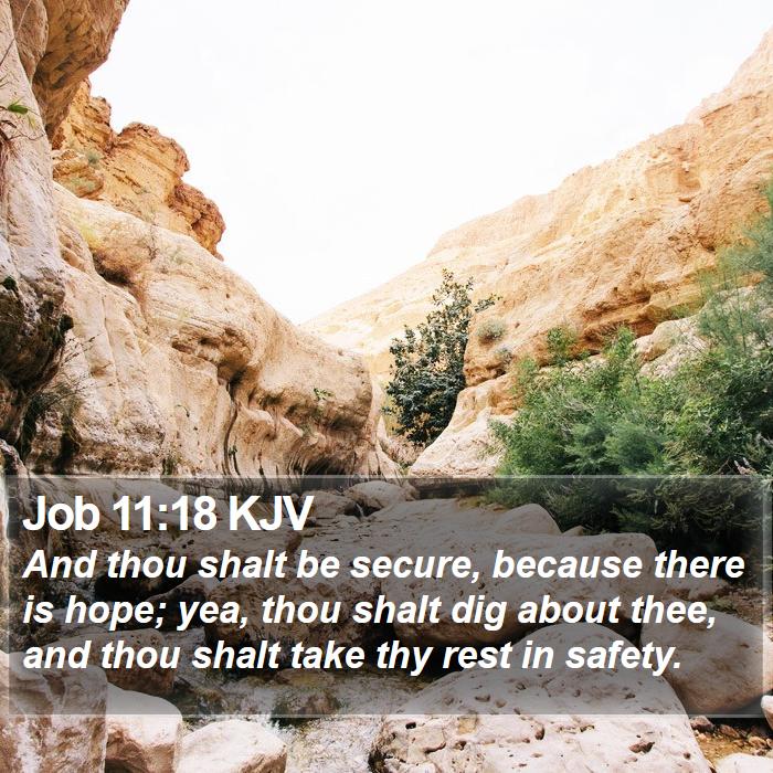 Job 11:18 KJV Bible Study