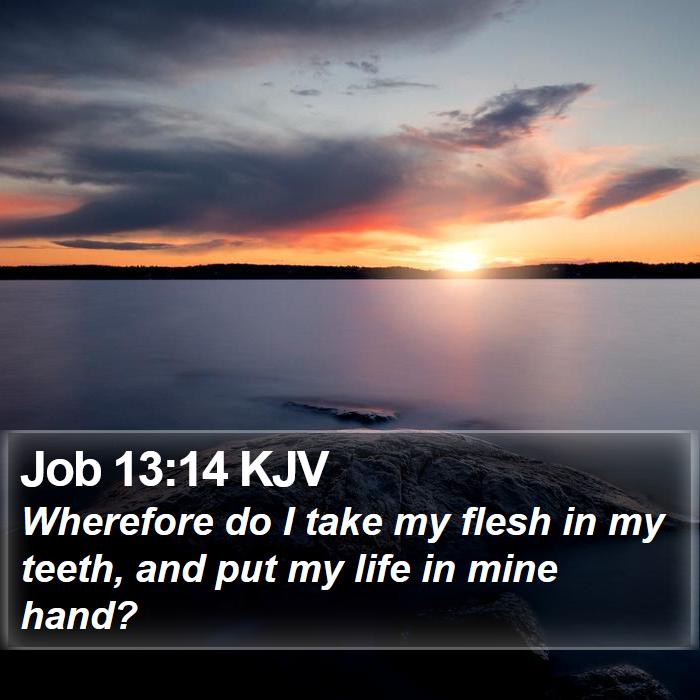 Job 13:14 KJV Bible Study