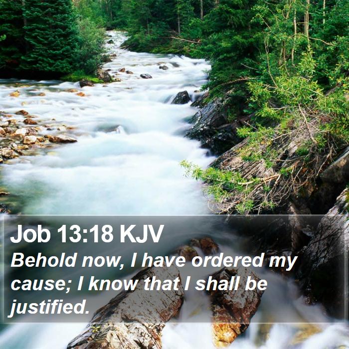 Job 13:18 KJV Bible Study