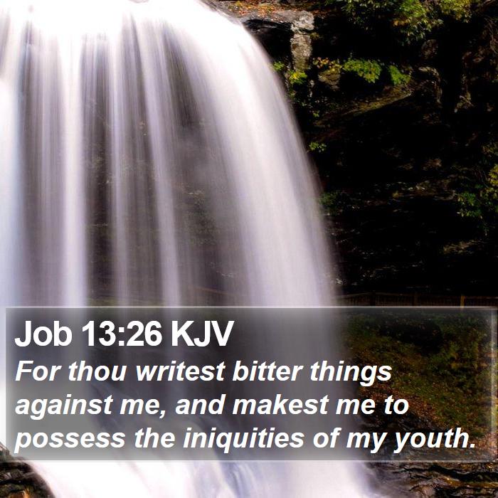 Job 13:26 KJV Bible Study