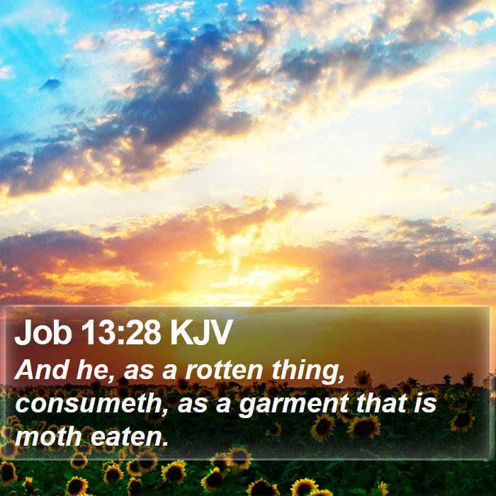 Job 13:28 KJV Bible Study