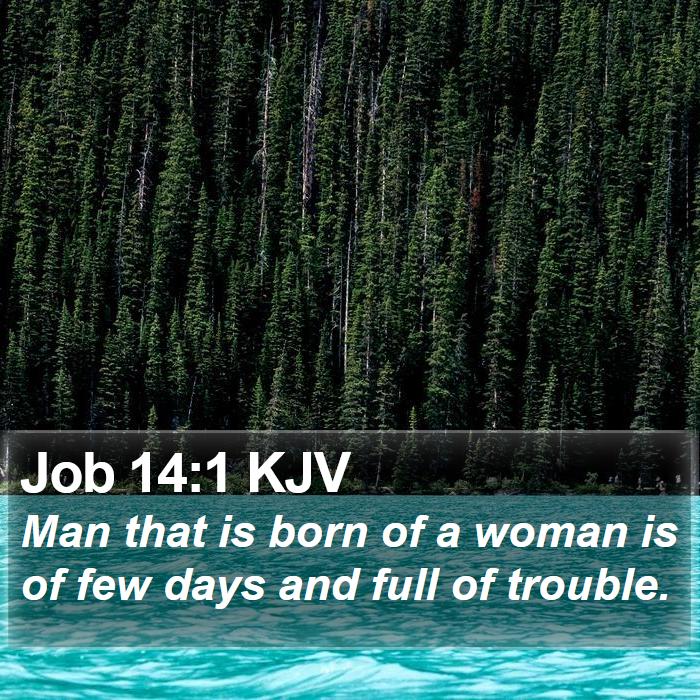 Job 14:1 KJV Bible Study