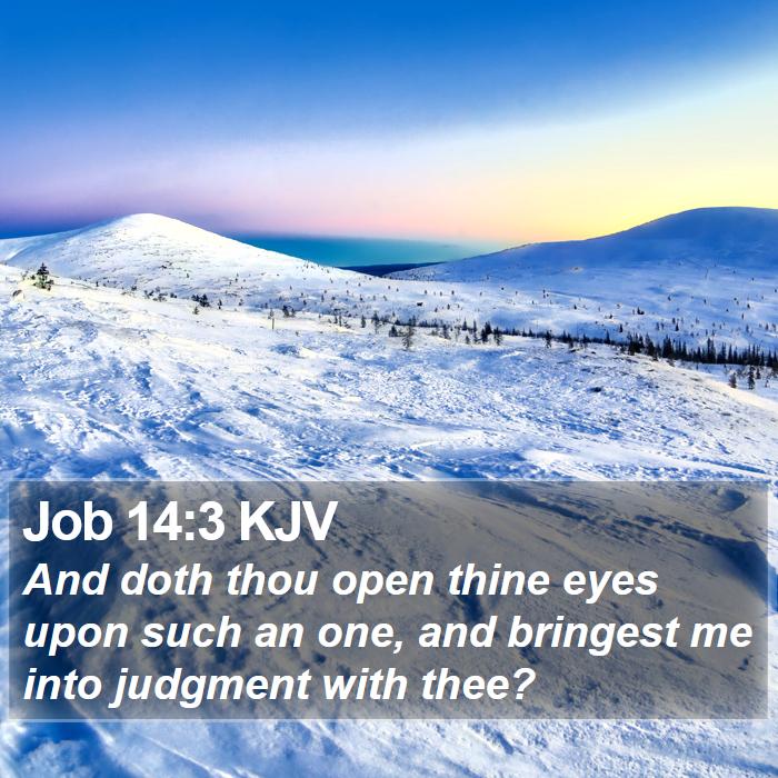 Job 14:3 KJV Bible Study