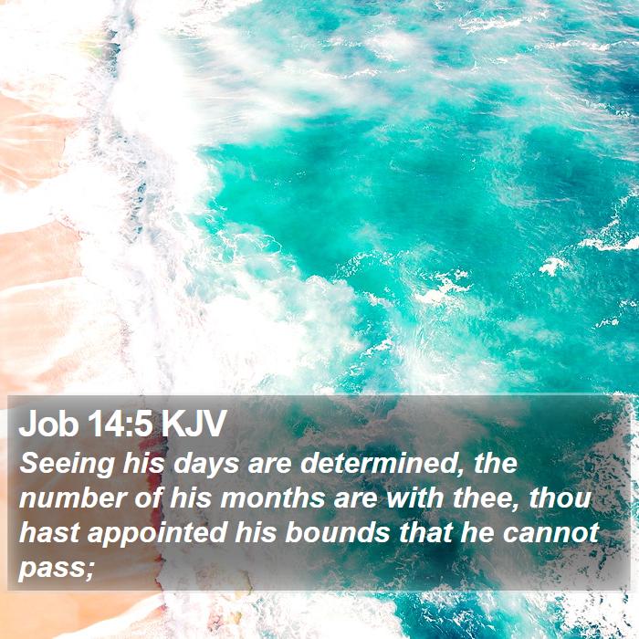 Job 14:5 KJV Bible Study