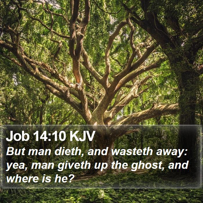 Job 14:10 KJV Bible Study