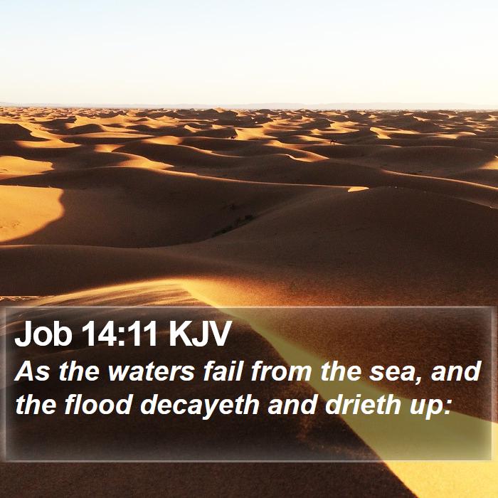 Job 14:11 KJV Bible Study