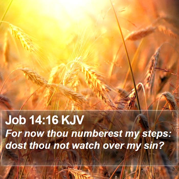 Job 14:16 KJV Bible Study