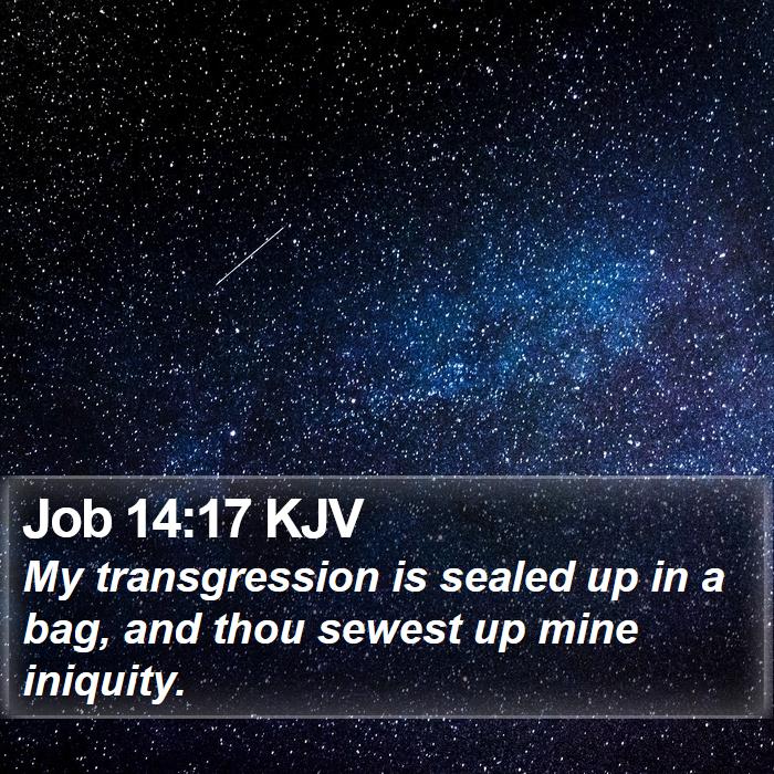 Job 14:17 KJV Bible Study