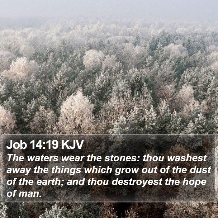 Job 14:19 KJV Bible Study