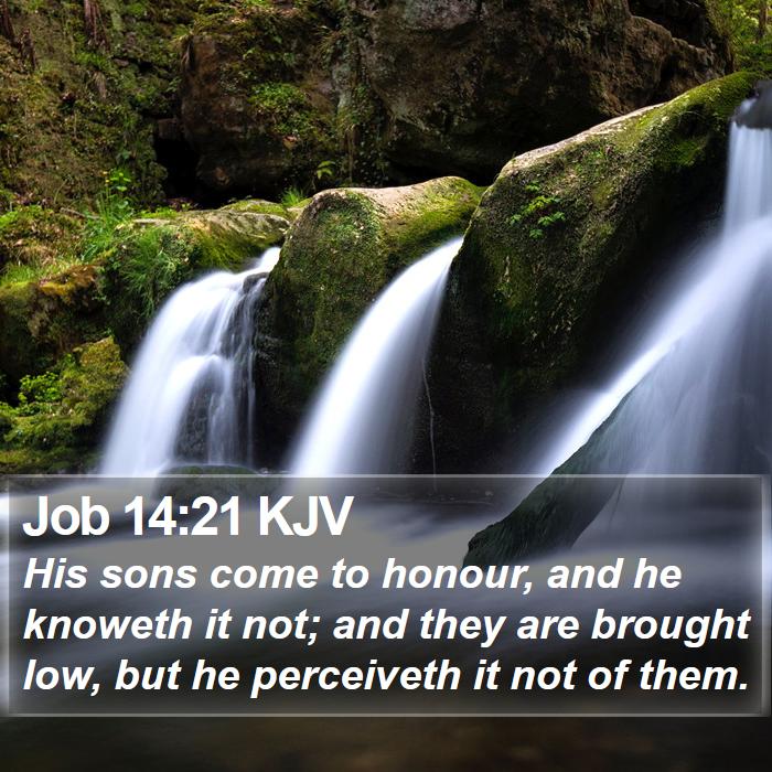 Job 14:21 KJV Bible Study