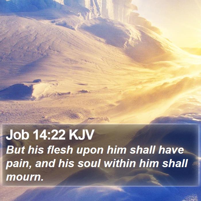 Job 14:22 KJV Bible Study