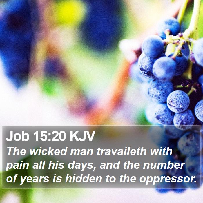 Job 15:20 KJV Bible Study