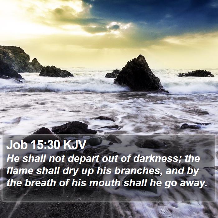 Job 15:30 KJV Bible Study