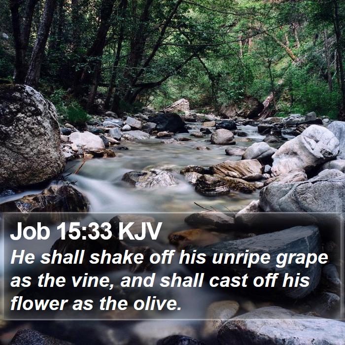 Job 15:33 KJV Bible Study