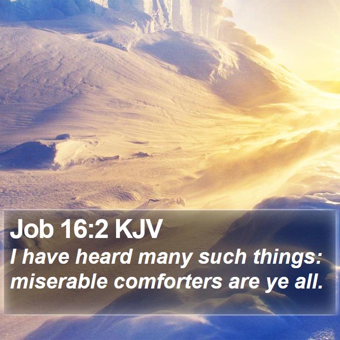 Job 16:2 KJV Bible Study