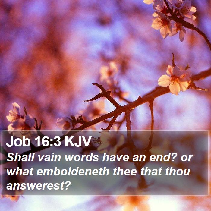 Job 16:3 KJV Bible Study