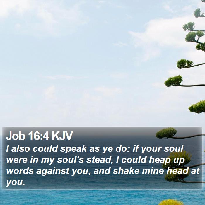 Job 16:4 KJV Bible Study