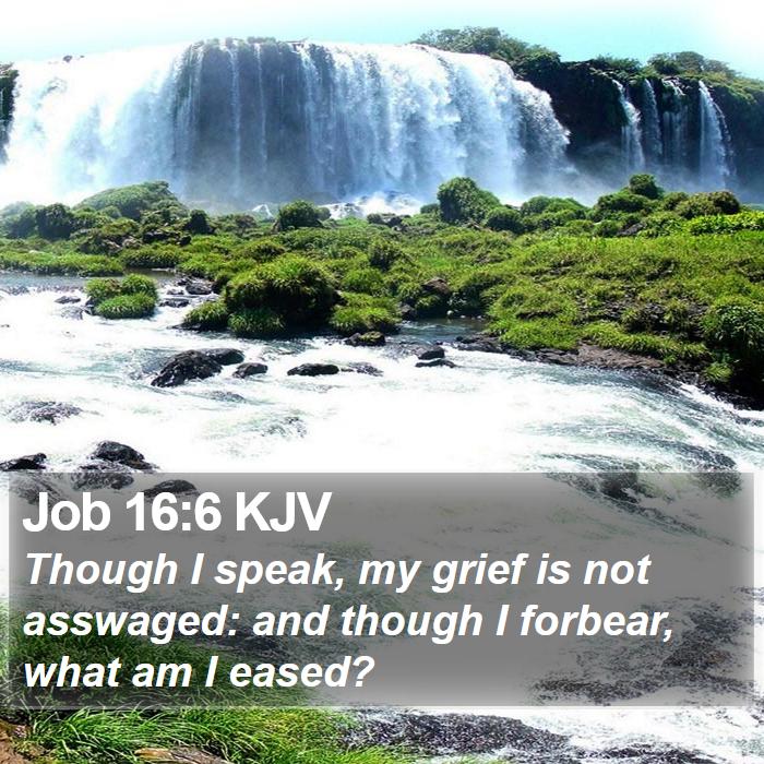 Job 16:6 KJV Bible Study