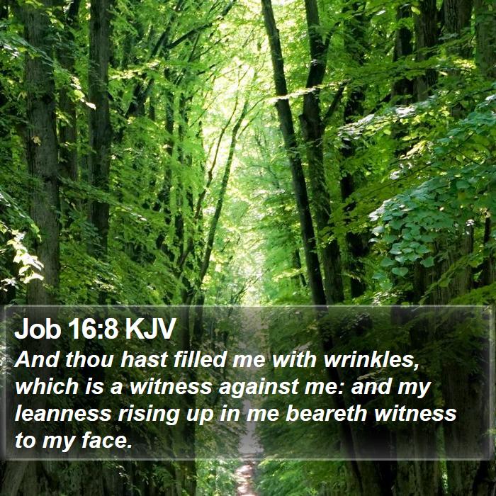 Job 16:8 KJV Bible Study