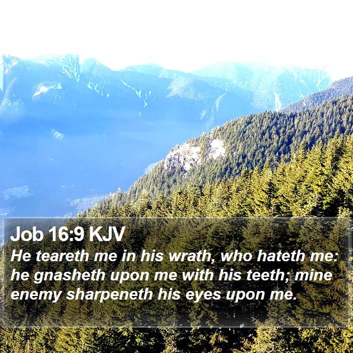 Job 16:9 KJV Bible Study