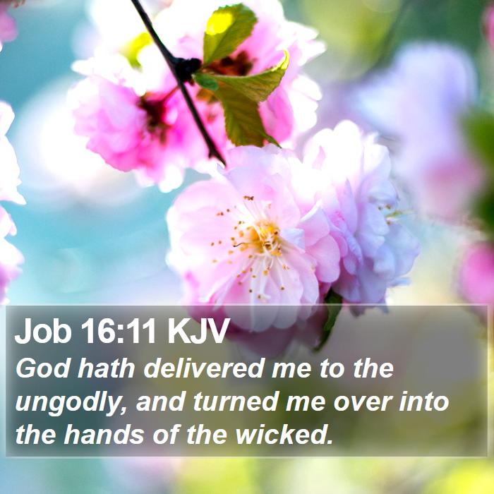 Job 16:11 KJV Bible Study