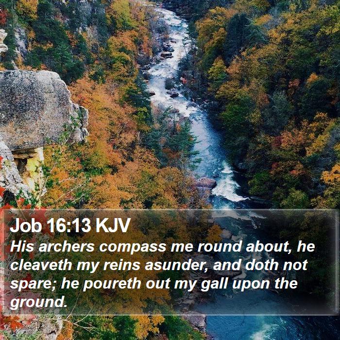 Job 16:13 KJV Bible Study