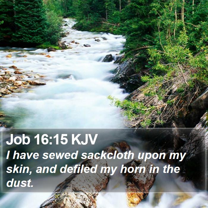 Job 16:15 KJV Bible Study