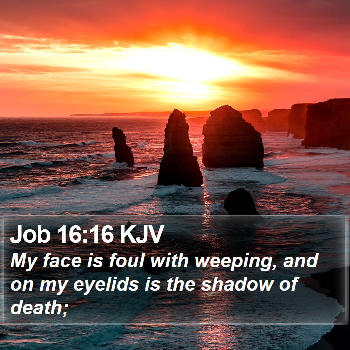 Job 16:16 KJV Bible Study