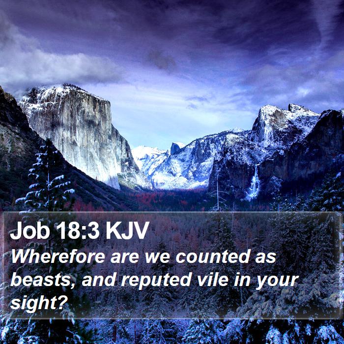 Job 18:3 KJV Bible Study