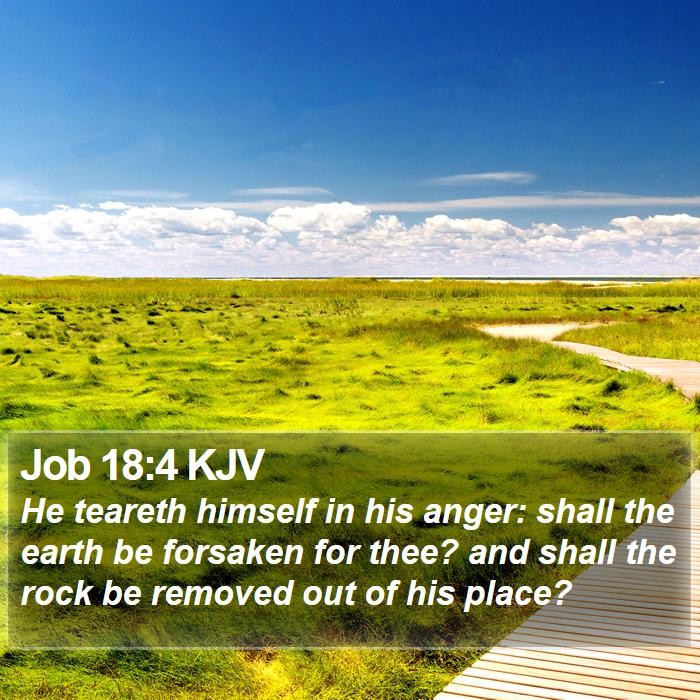 Job 18:4 KJV Bible Study