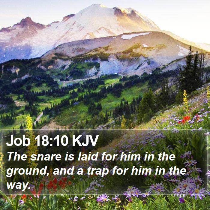 Job 18:10 KJV Bible Study