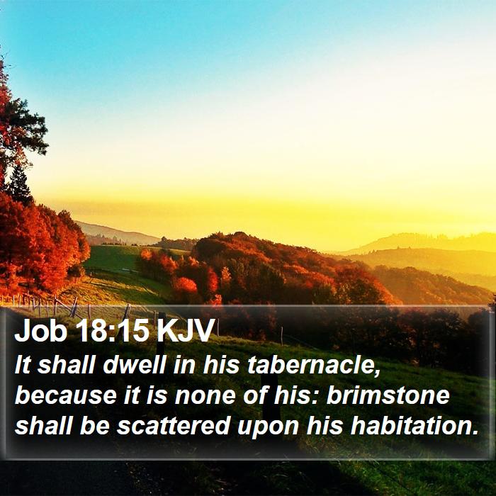 Job 18:15 KJV Bible Study