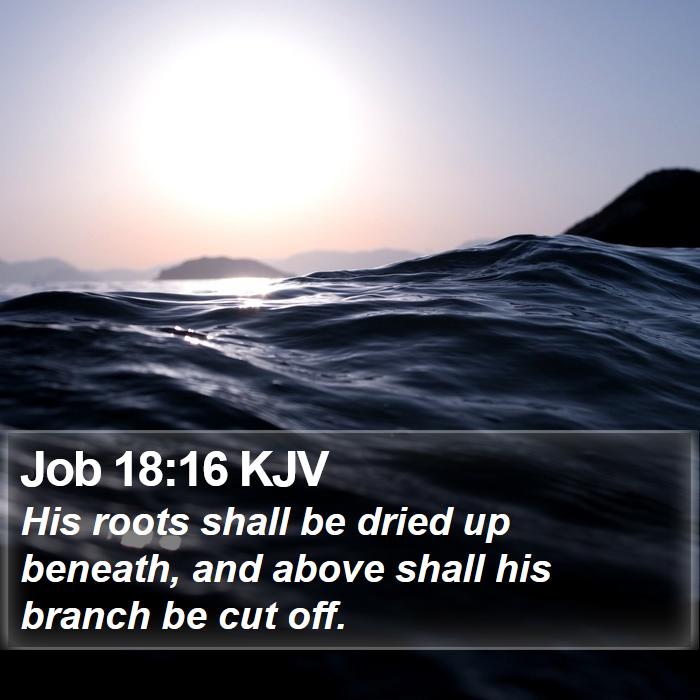 Job 18:16 KJV Bible Study