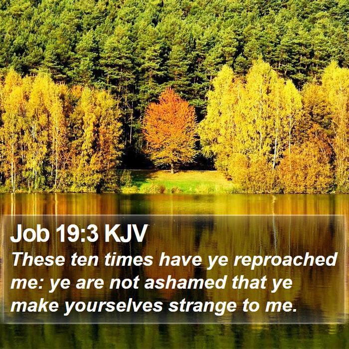 Job 19:3 KJV Bible Study