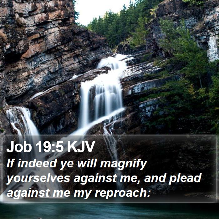 Job 19:5 KJV Bible Study