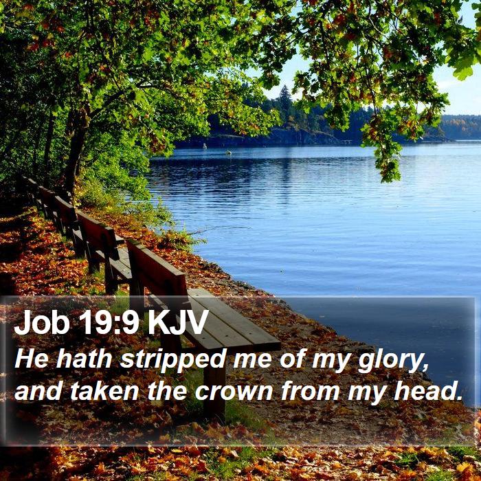 Job 19:9 KJV Bible Study