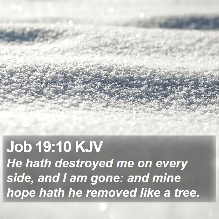 Job 19:10 KJV Bible Study