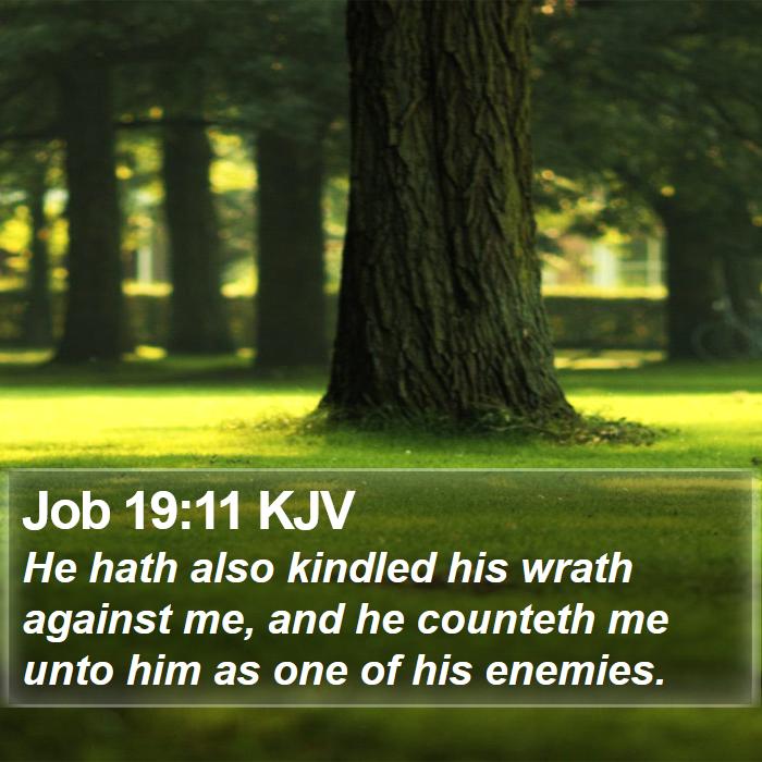 Job 19:11 KJV Bible Study