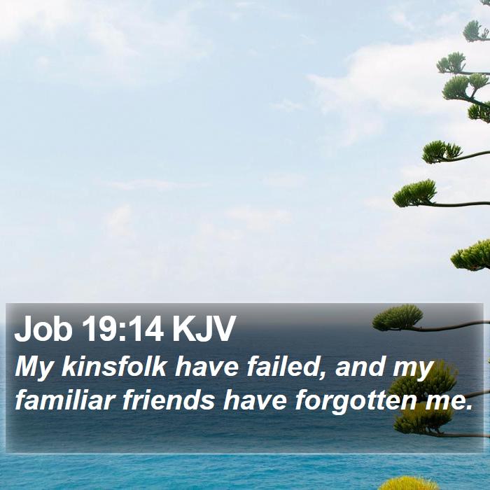 Job 19:14 KJV Bible Study