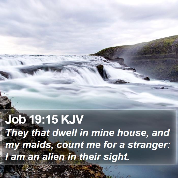 Job 19:15 KJV Bible Study