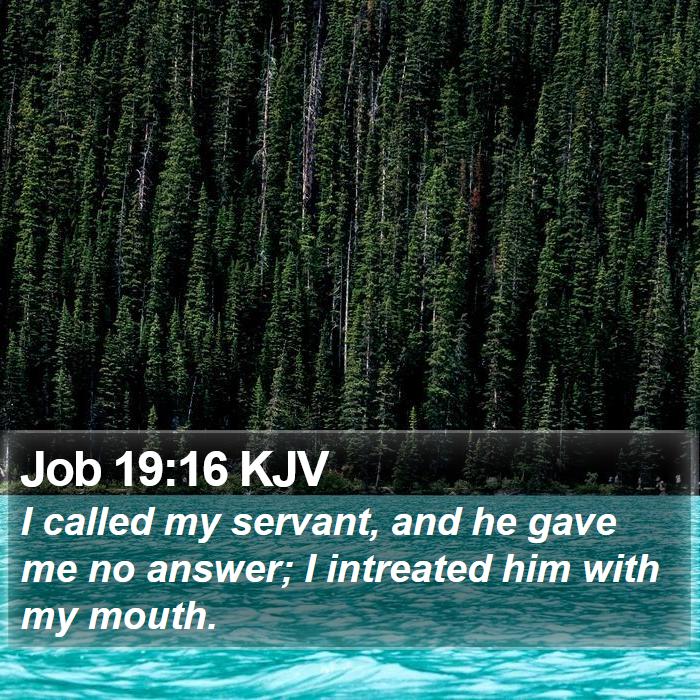 Job 19:16 KJV Bible Study