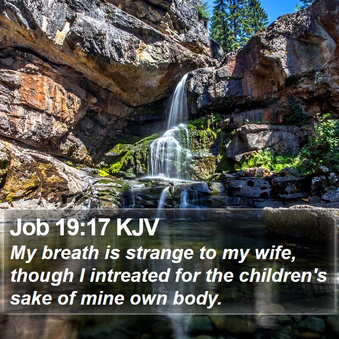 Job 19:17 KJV Bible Study