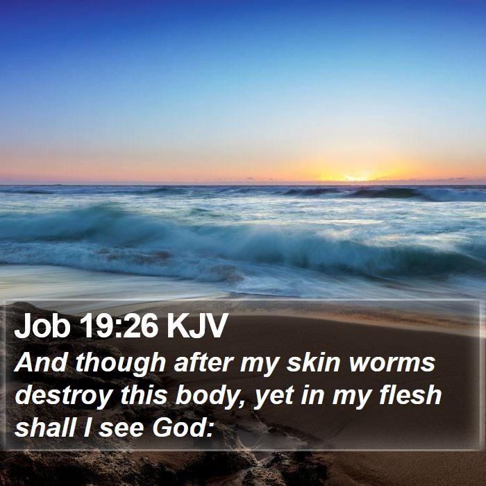 Job 19:26 KJV Bible Study