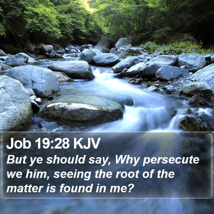 Job 19:28 KJV Bible Study