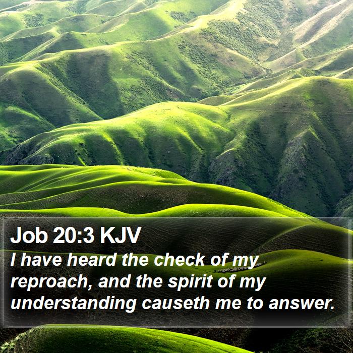 Job 20:3 KJV Bible Study