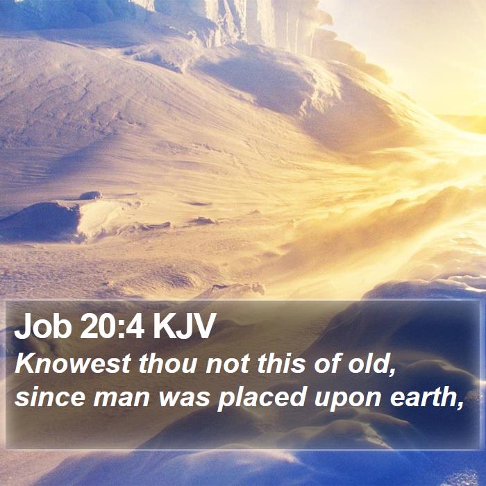 Job 20:4 KJV Bible Study