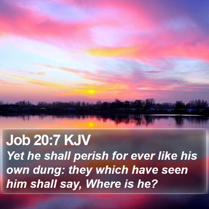 Job 20:7 KJV Bible Study