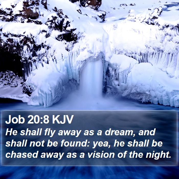 Job 20:8 KJV Bible Study